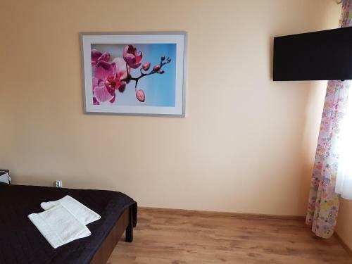 Apartamenty Nadmorskie