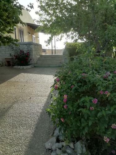Il Poggetto Marzamemi - Lemon House