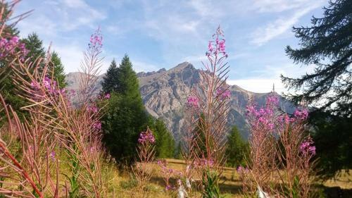 Apartamento Le Serac, Le Clos L�authauds