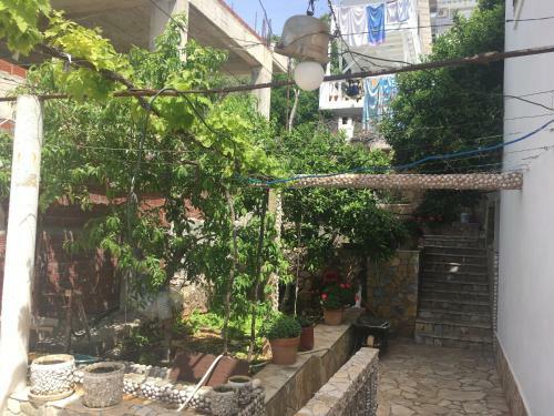 Hostal Antonio Rooms