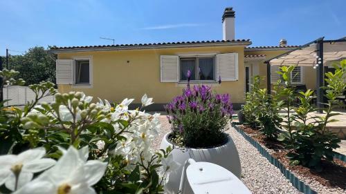 Apartamentos House Roca