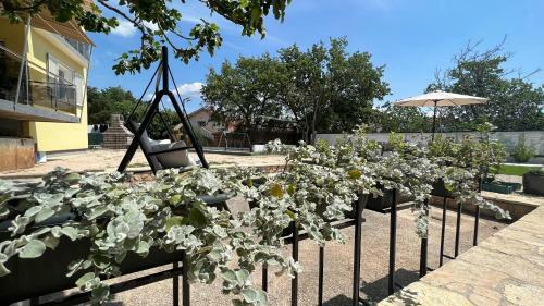 Apartamentos House Roca