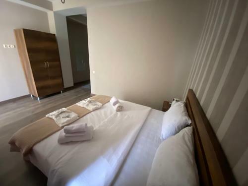 Hotel Borjomi Central