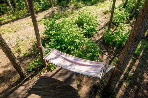 Lodge A Unique Treehouse For Two
