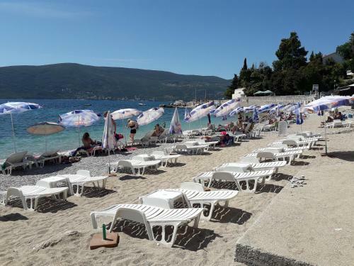 Apartmani Pje?ivac