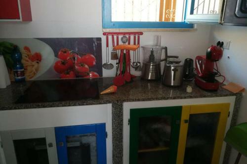 Apartamento Palmahouse