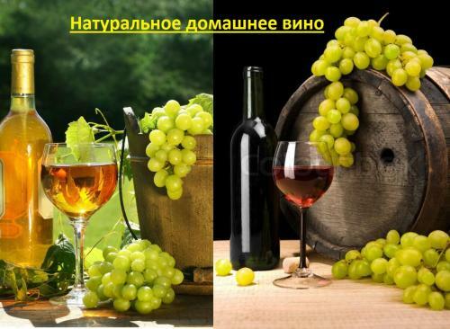 Hostal Guest House ( Guramishvili 19 )