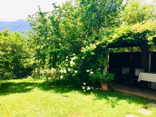 Apartmaji Jana