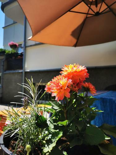 Apartamento Vila Siesta