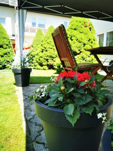 Apartamento Vila Siesta