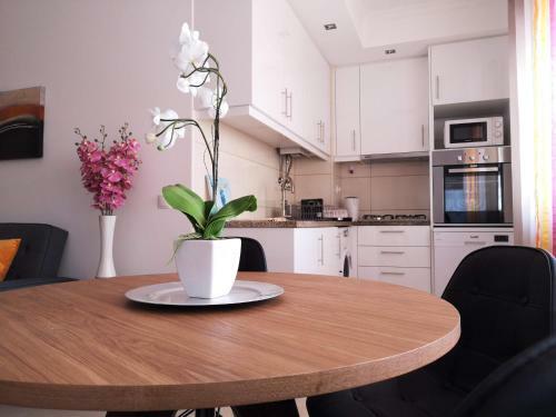 Apartamento Arma��o De P�ra Praia Mar Sol
