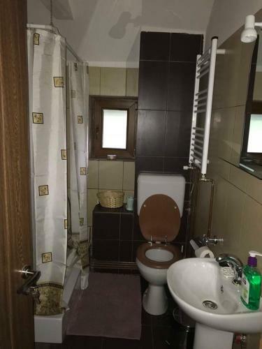 Apartamento Casa Doamnei