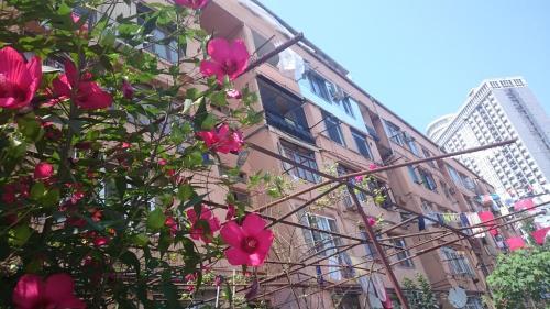 Comfortable Apartment In Batumi