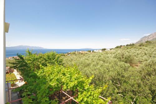 Hostal Apartmani Maslina
