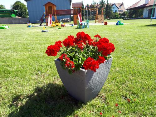 Domki Letniskowe Rekinek