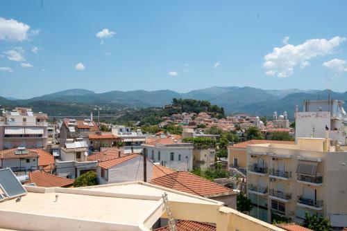 Apollon Apartment View To The Castle