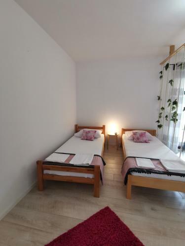 Apartments Lucia