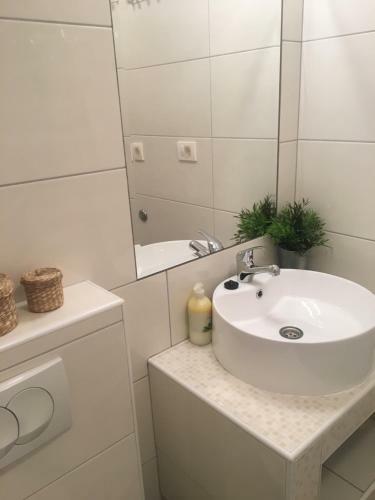 Apartments Lucia