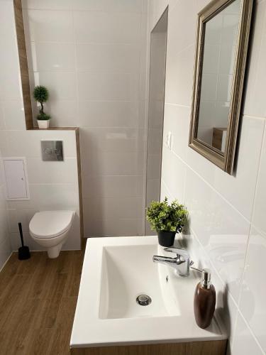 Apartamenty Totugdynia 6