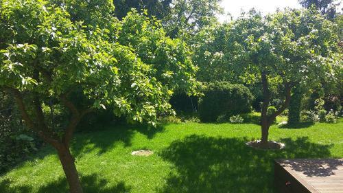 Apartamento Aniolki