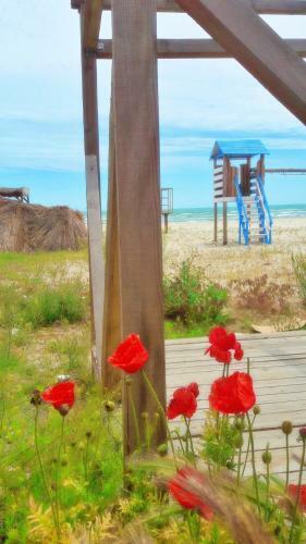 Apartamento Estrella De Mar