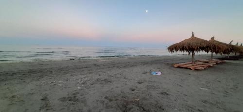 Apartamento Garsoniera Papaya Beach
