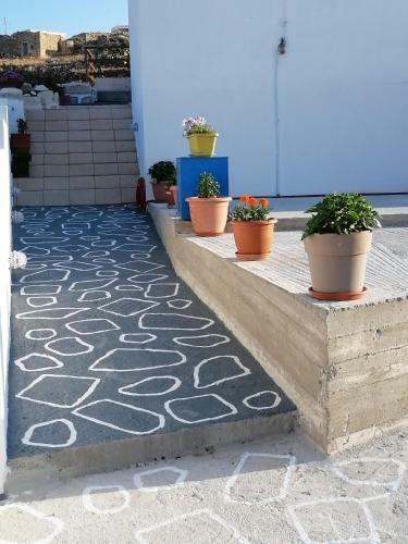 Elzahed Apartments Orza