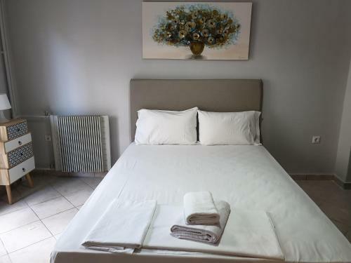 Smart Luxury Apartment