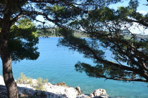 Apartmani Sapina