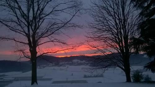 Bed & Breakfast Paglia E Fieno
