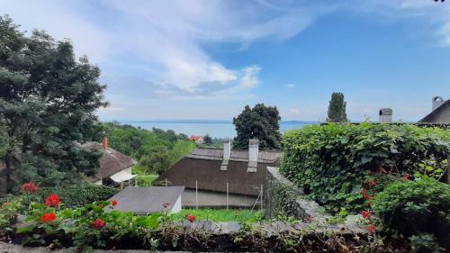 Hostal Timbi Vend�gh�z