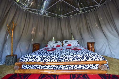 Glamping Mirajul Naturii