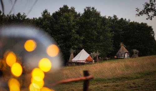 Glamping Mirajul Naturii
