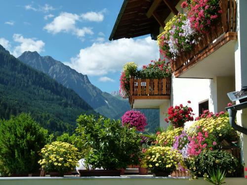 Hostal Pension Wilhelmer