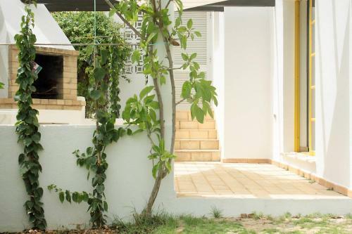 Sunny Pool House & Open Garden