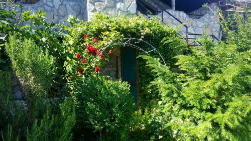 Hostal Camere De Inchiriat Nicoleta