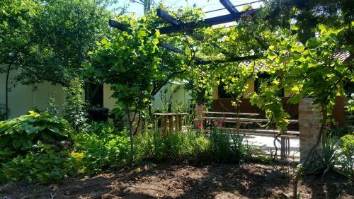Hostal Camere De Inchiriat Nicoleta