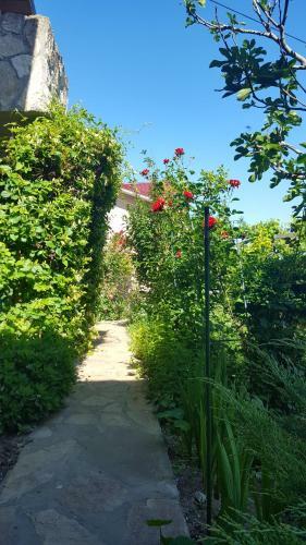 Hostal Camere De Inchiriat Nicoleta