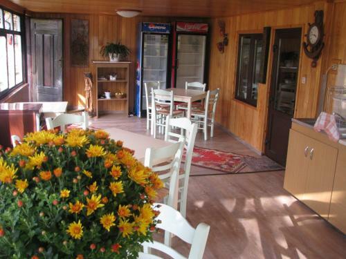Hostal Pensiunea Gabriela