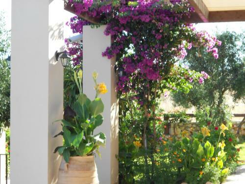 Livadaki Village Hotel