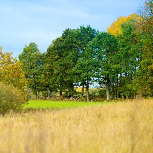 Agroturismo Roseng�rden - Viby B&bi