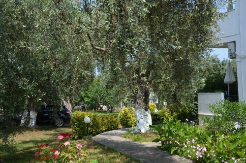 Hostal Elina Studios Golden Beach