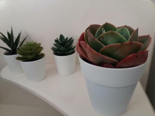Apartamento Isla Canela 230