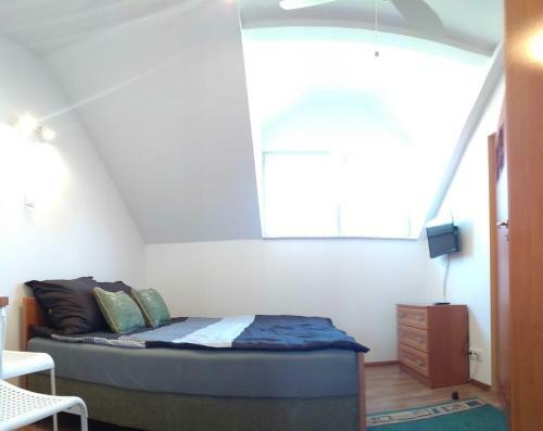 Domus