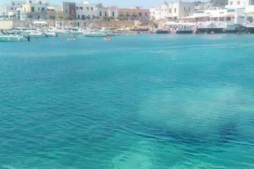 Villa A 300 Metri Mare. Terrazza/gazebo/barbecue