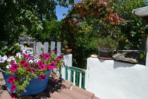Bilocale Al Mare