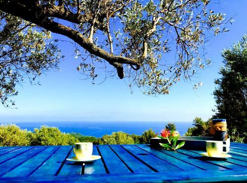 Hostal Il Caprarizzo