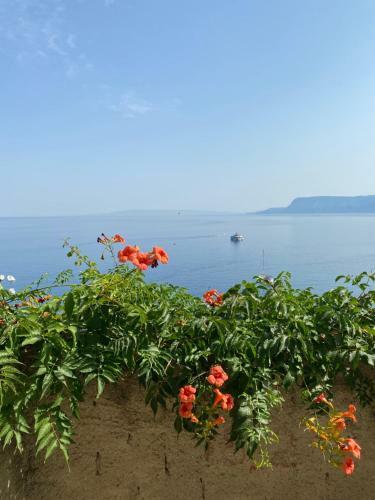 Casa Vita Scilla