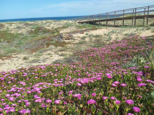 Apartamento Playa Torrevieja