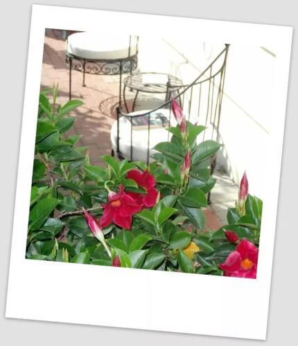 Bed & Breakfast B & B Da Ferro
